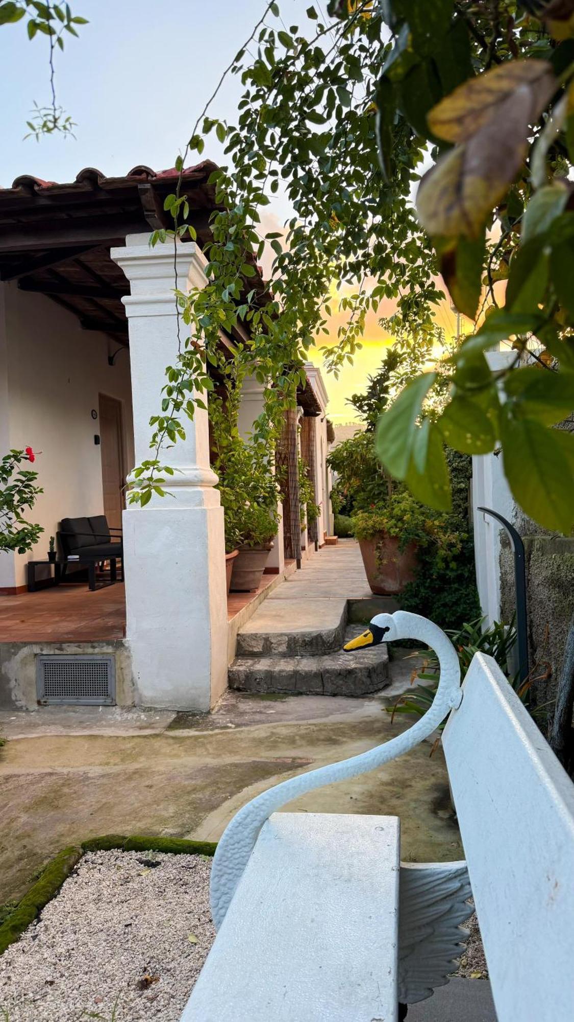 Il Cigno B&B Capri Exterior foto