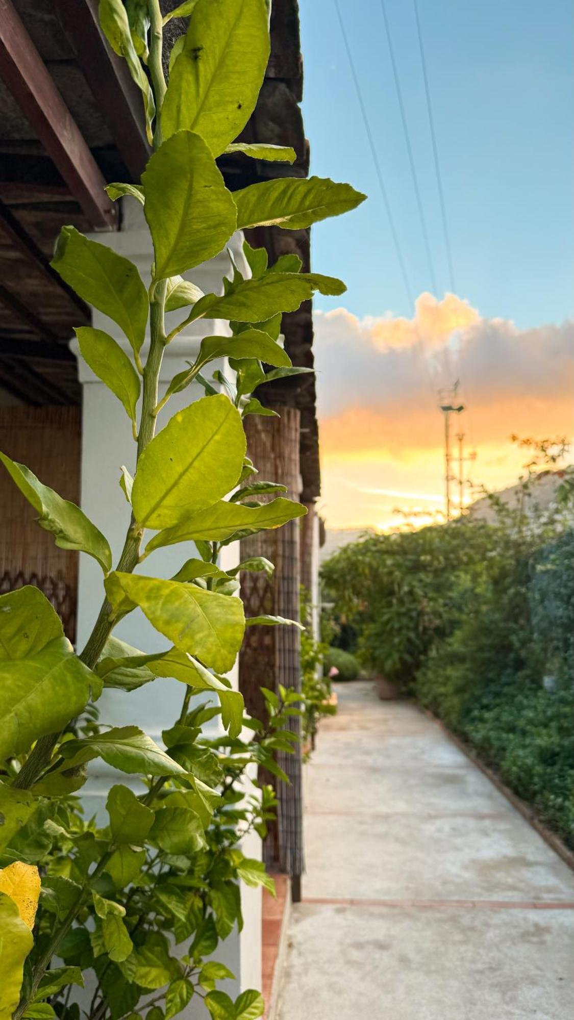 Il Cigno B&B Capri Exterior foto