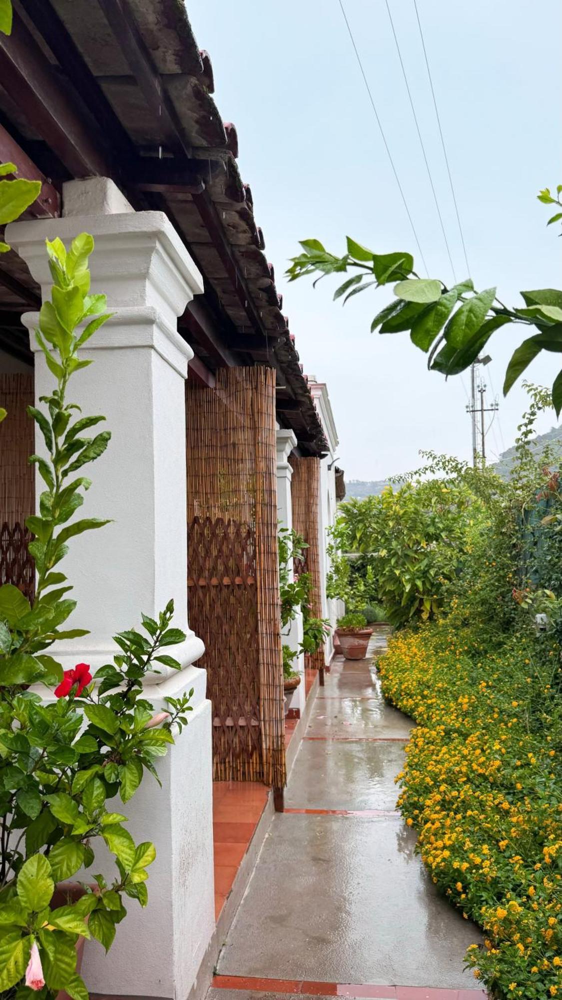 Il Cigno B&B Capri Exterior foto