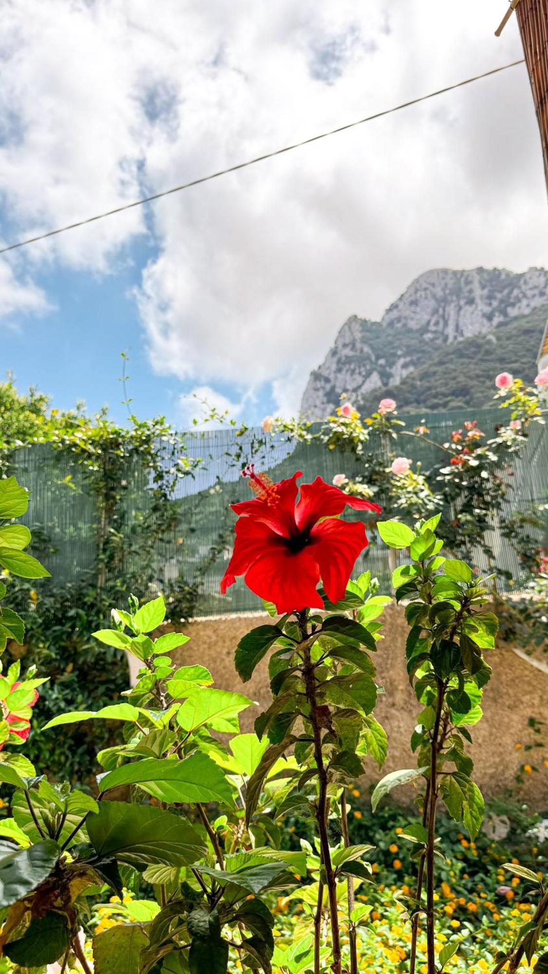 Il Cigno B&B Capri Exterior foto