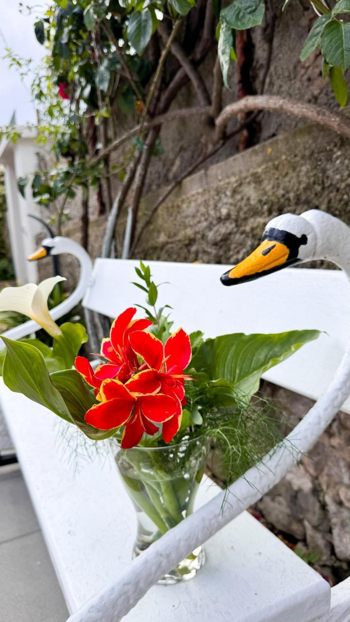 Il Cigno B&B Capri Exterior foto
