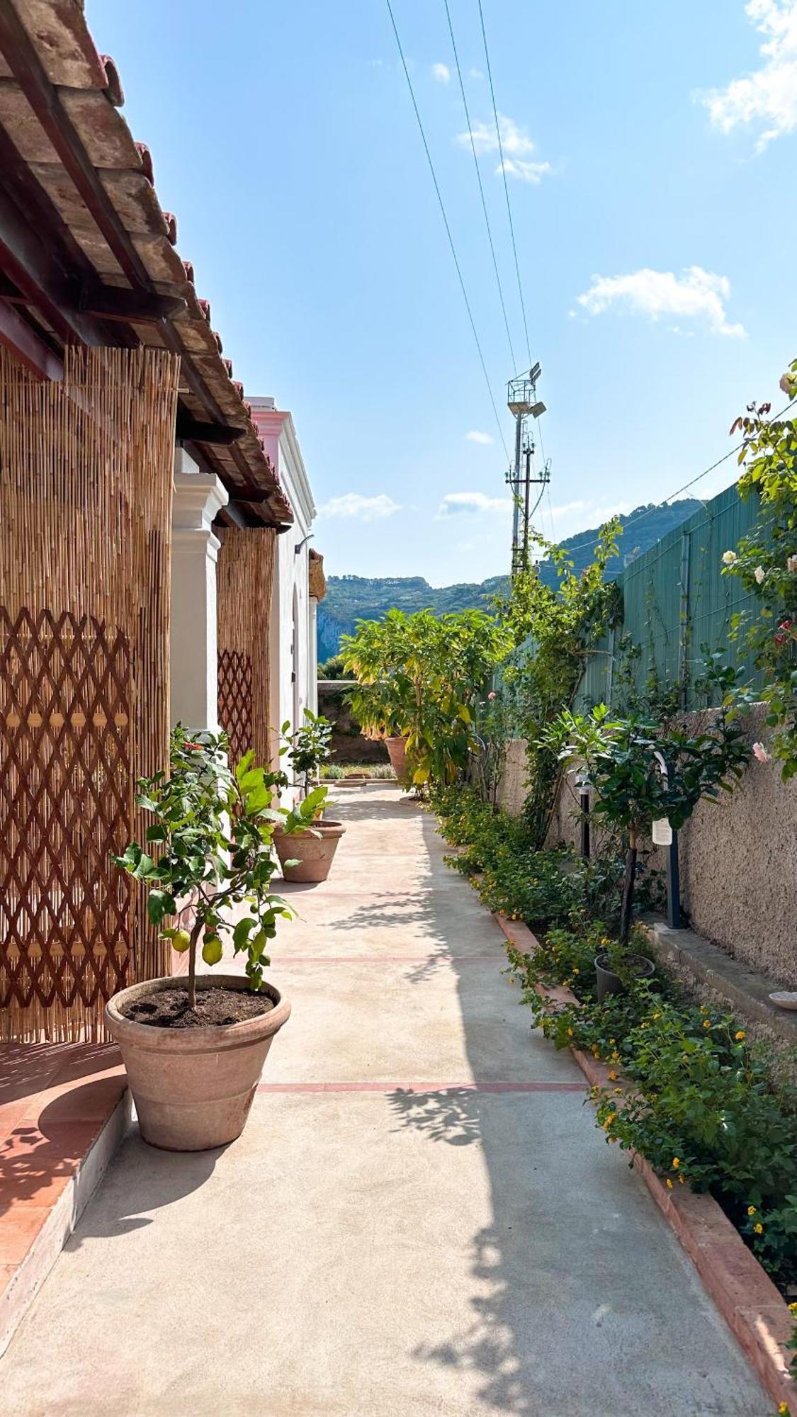 Il Cigno B&B Capri Exterior foto
